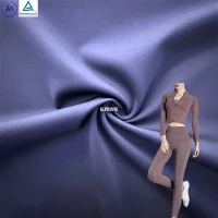 Stretch Recovery Nylon Quick Dry Fabric