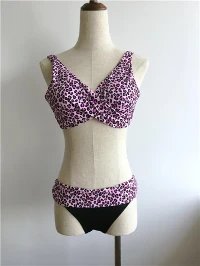Pink Leopard Print Wrap V-neck Bikini Set