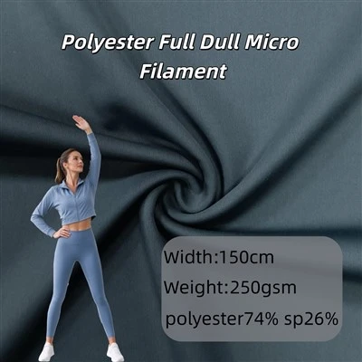 Polyester Full Dull Micro Filament